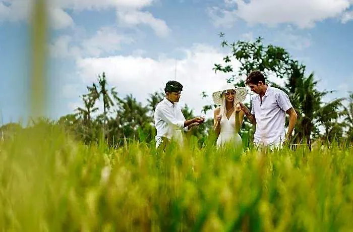 ホテル The Line Canggu